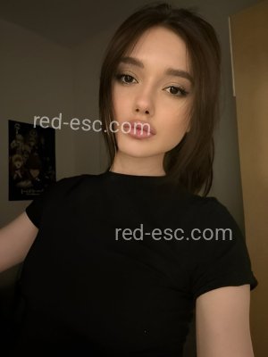 Влада — Велиж